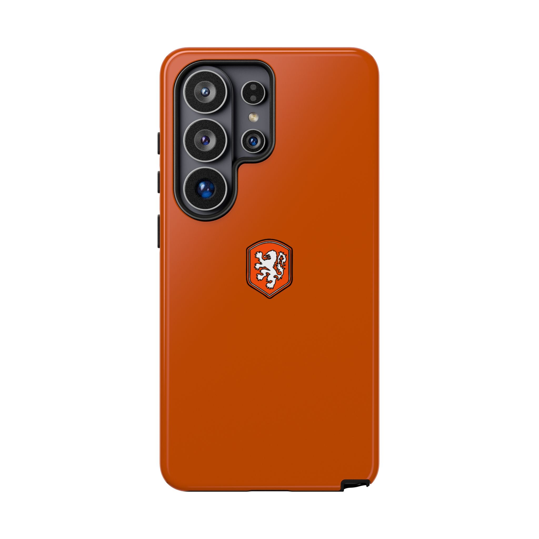 NETHERLANDS WORLD CUP